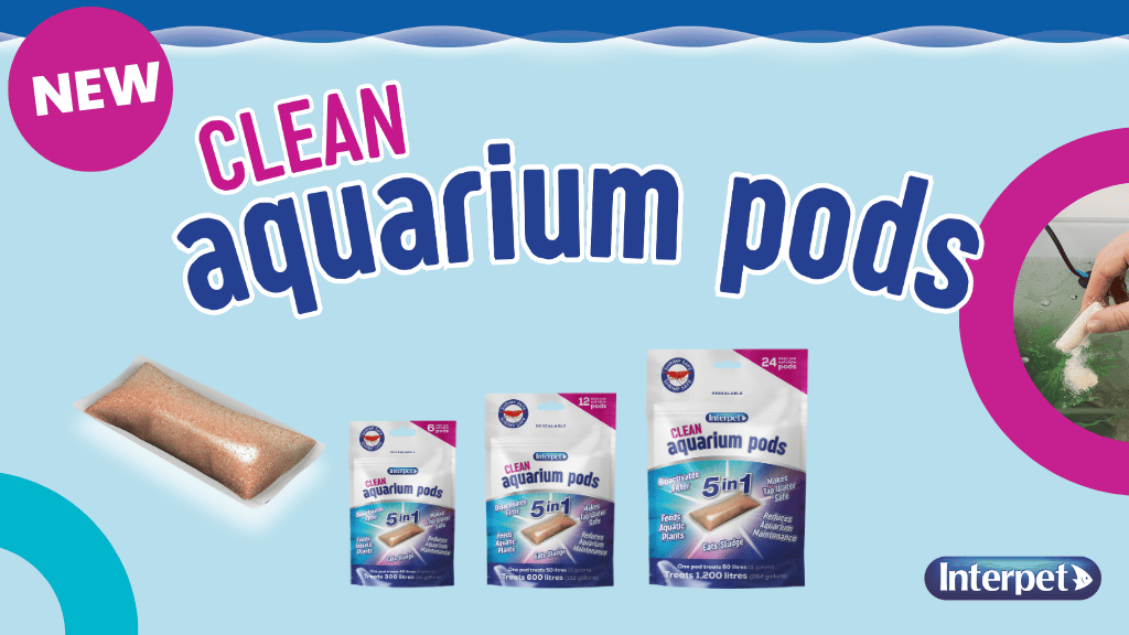 New Clean Aquarium Pods